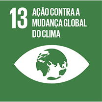 ODS 13